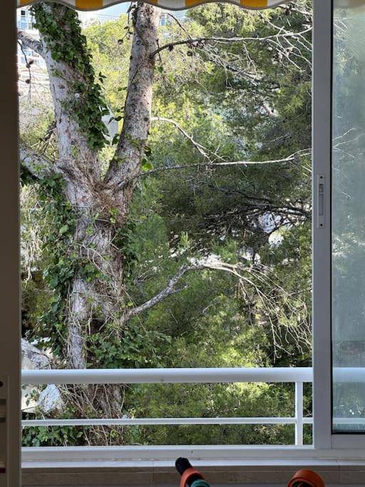 Premium Luxury Residence RITS - Apartamento de 2 dormitorios - 25