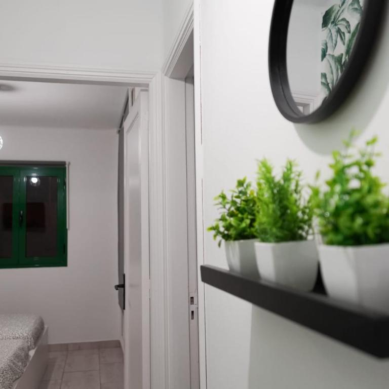 Apartamento Malagueta - Apartamento de 1 dormitorio - 33