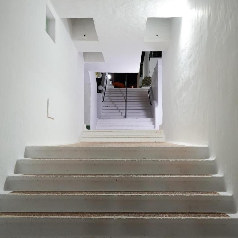 Apartamento Malagueta - Apartamento de 1 dormitorio - 45