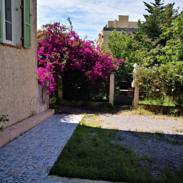 STUDIO dans Villa à Nice Ouest - Apartment mit 1 Schlafzimmer - 12