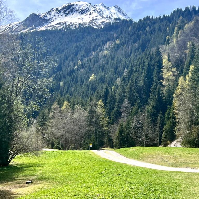 Studio à Praz-sur-Arly - Studio - 12