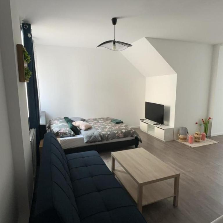 La colmarienne - Two-Bedroom Apartment - 5