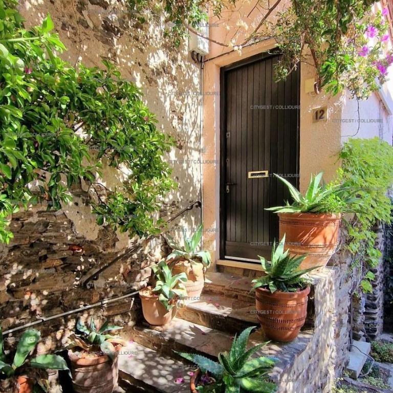 2DUF11 - Maisonnette hauts de Collioure climatisée - Maisonnette - 17