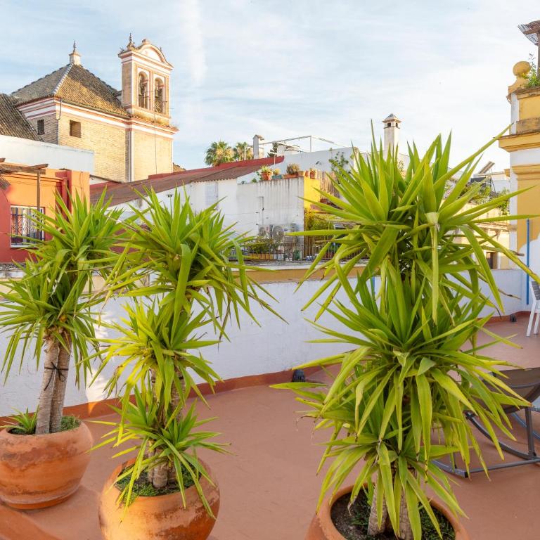 DescubreHome Penthouse Santa Cruz, Private Terrace - Apartamento Deluxe - 5