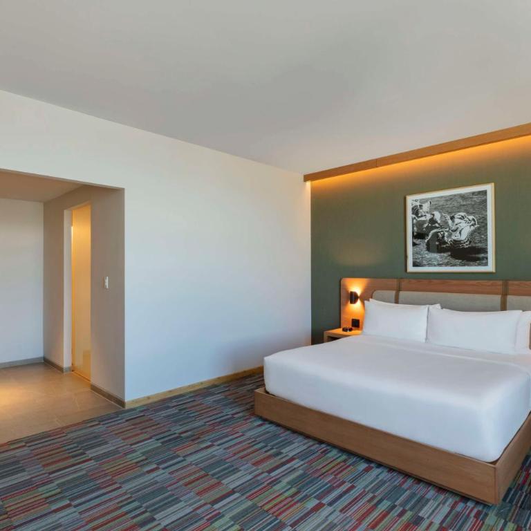 Hilton Garden Inn Guadalajara Airport - Suite Junior con vistas al aeropuerto - 1 cama extragrande - 3