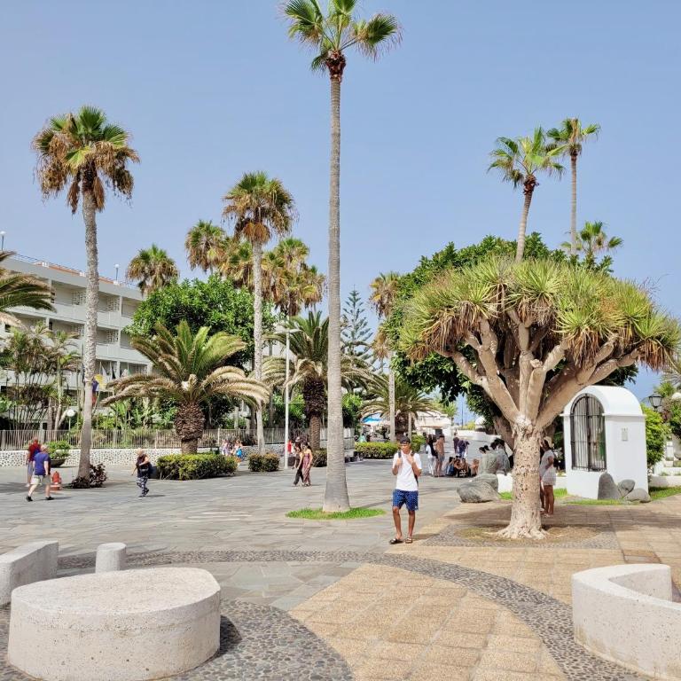 Palm Avenue - Adults Only - - Estudio con vistas al mar - 39