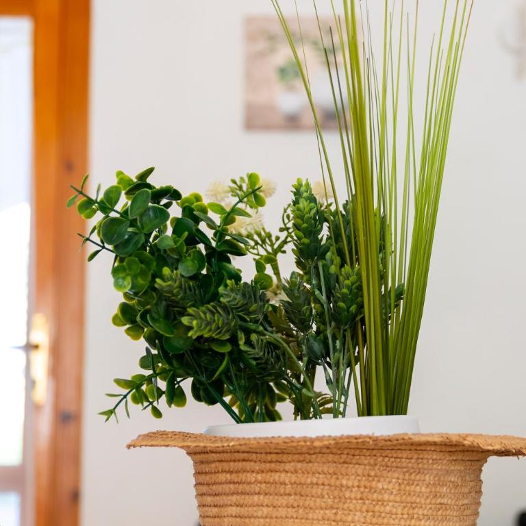 Nice to stay, holiday home - Casa Vacanze - 28