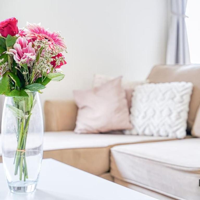 Quartier des Ternes - Le Rêveur - 137MB - Appartement 1 Chambre - 15