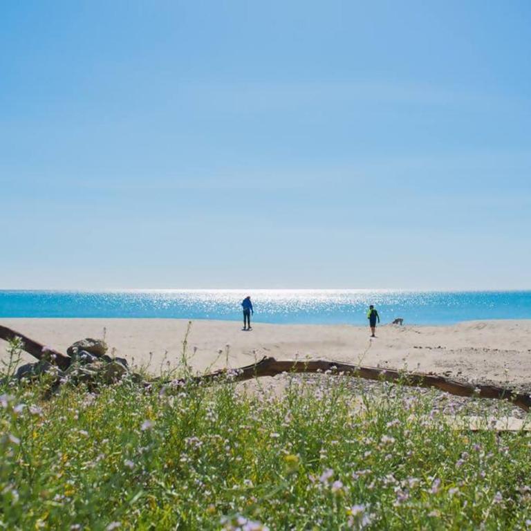 Apartamento a 50 m de la playa - One-Bedroom Apartment - 11