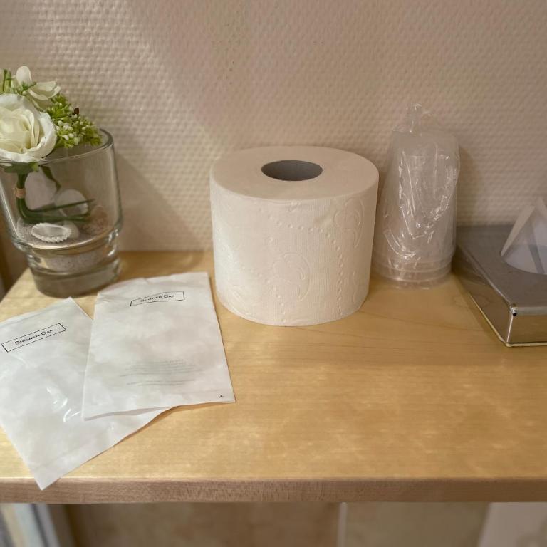 Apartment Hotel Schreier - Studio mit Parkblick - 14