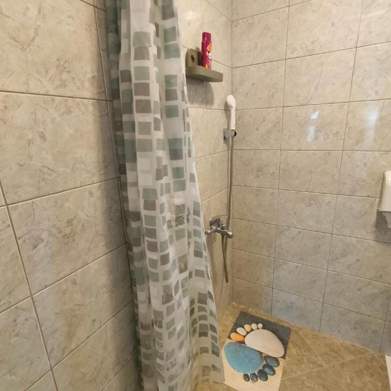 A1 - Airport Belgrade Apartment - Economy Dvokrevetna Soba sa Bračnim Krevetom - 2