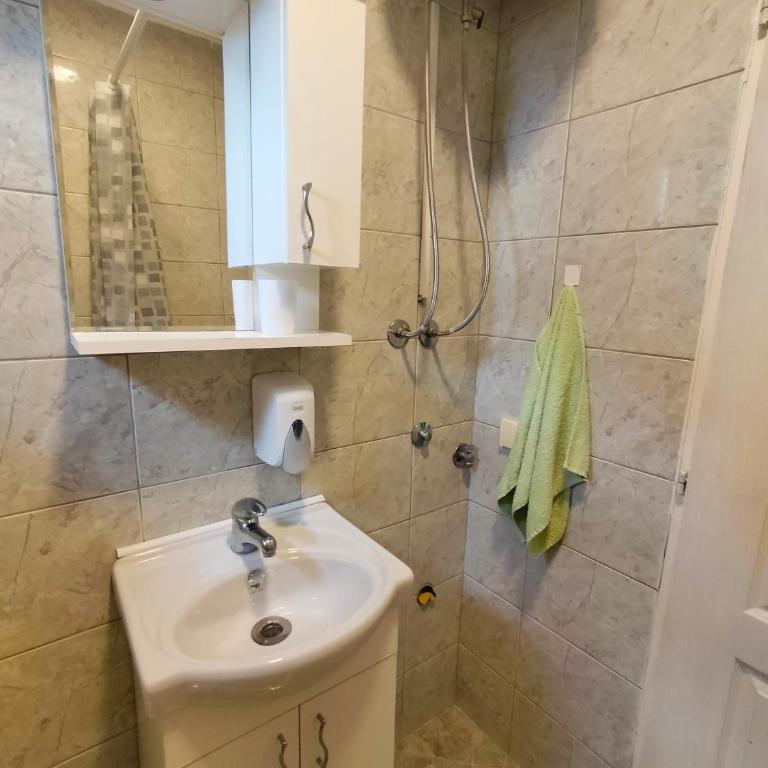 A1 - Airport Belgrade Apartment - Economy Dvokrevetna Soba sa Bračnim Krevetom - 6