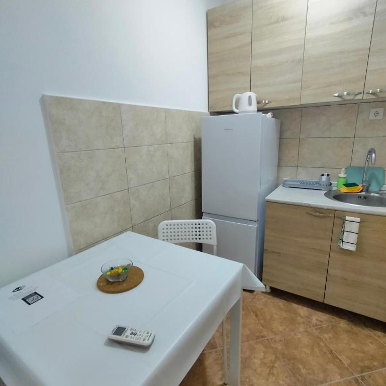 A1 - Airport Belgrade Apartment - Economy Dvokrevetna Soba sa Bračnim Krevetom - 7