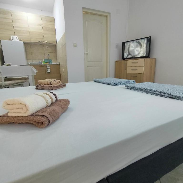 A1 - Airport Belgrade Apartment - Economy Dvokrevetna Soba sa Bračnim Krevetom - 8