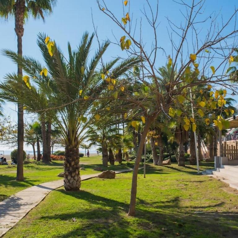 Bonito estudio a pie de playa - Apartamento de 1 dormitorio - 36