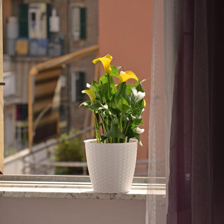 Casa Via Cesena - Appartement avec Terrasse - 3