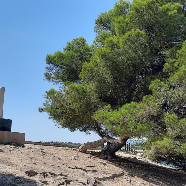CASA CHOULOU Moraira - Three-Bedroom House - 38