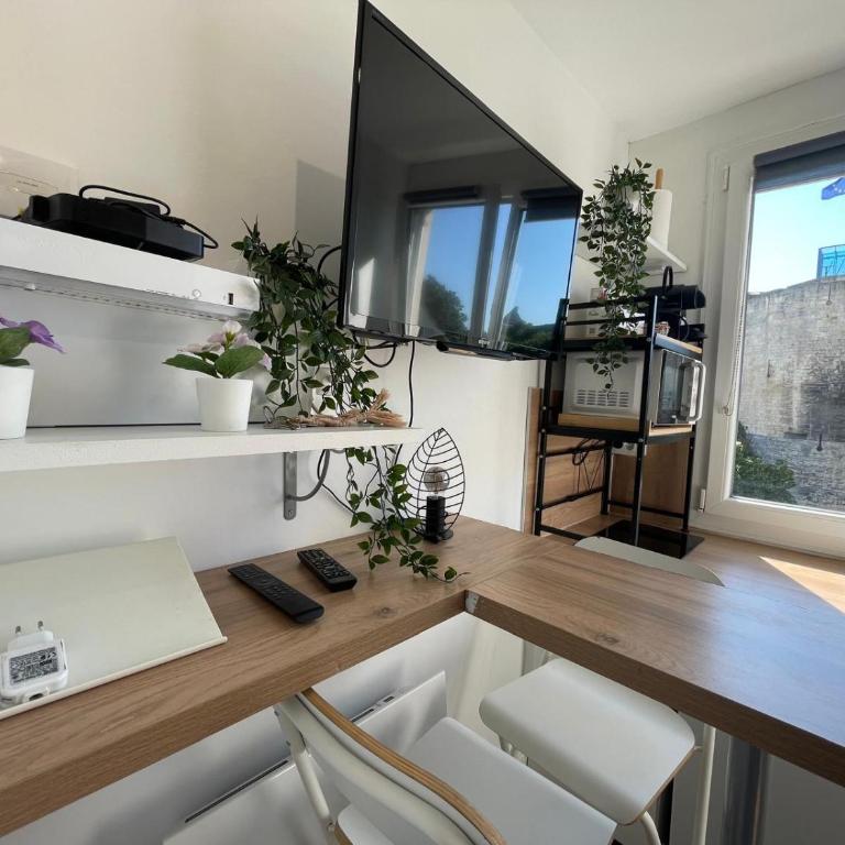 Castle - Vue sur le château - Hypercentre - One-Bedroom Apartment - 16