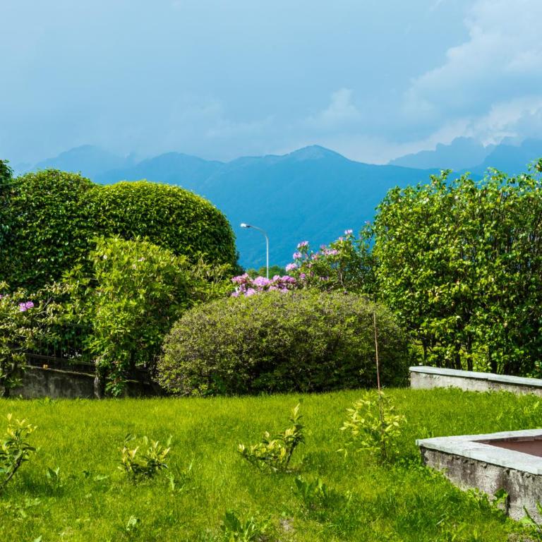 Ortensia - Appartamento - Piano Terra - 27