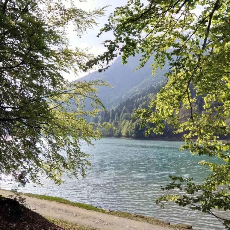 La R'mise - Chalet 3 Chambres - 31