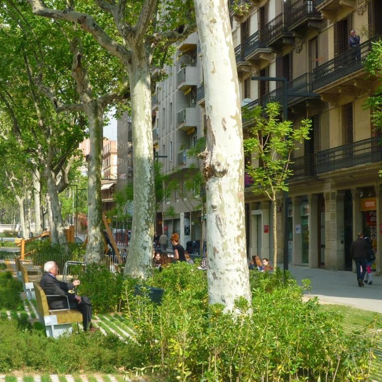 Barcelona Classic Eixample Apartments - Three-Bedroom Apartment - 7