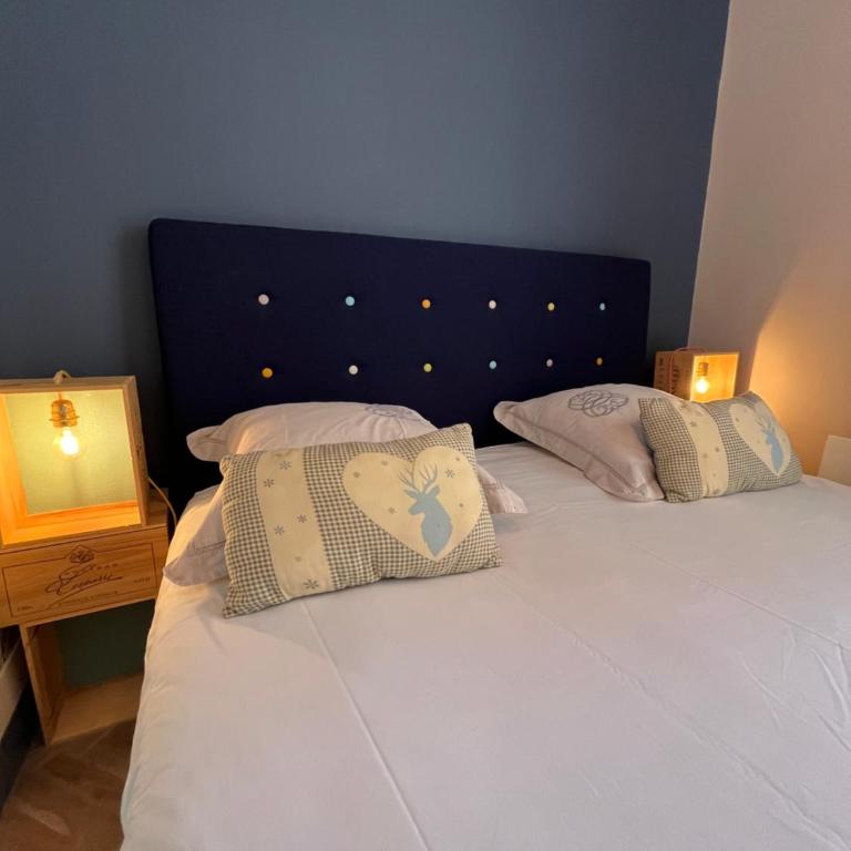 Côté Château - Grand appartement au cœur de Blois - Appartement 2 Chambres - 24