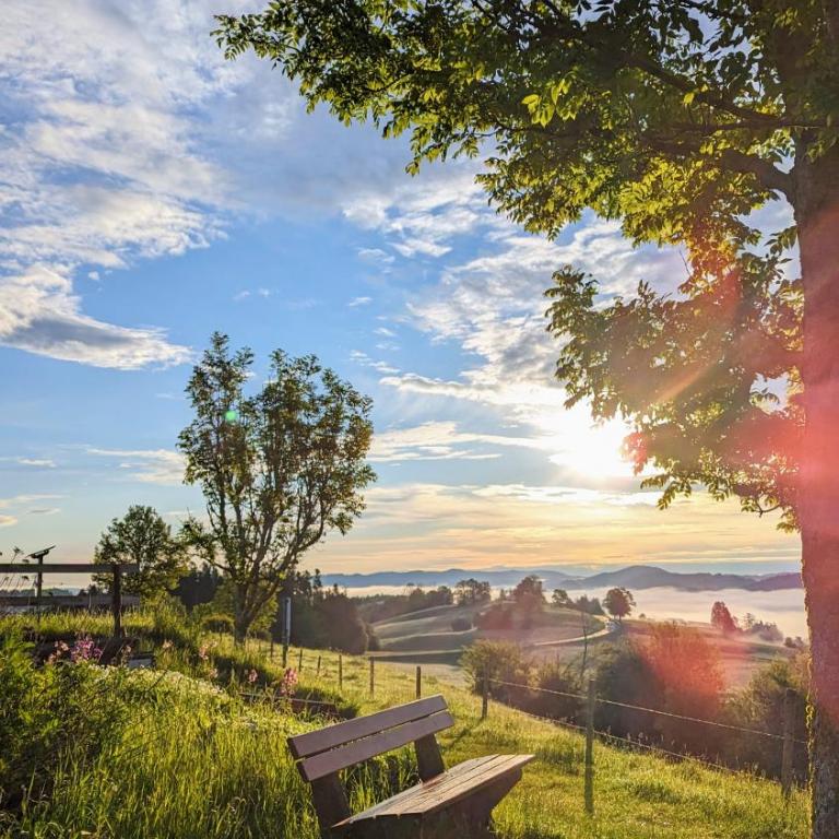Ferienwohnung BergWolke mit Pool, Sauna & Bergblick - Appartement 1 Chambre - 44