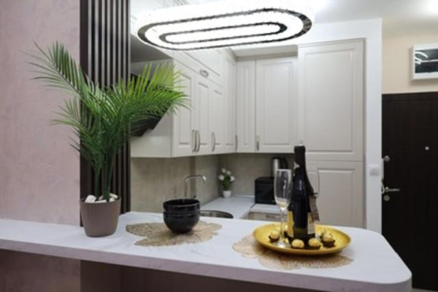 Imperial Lux Apartment - One-Bedroom Apartment - 17