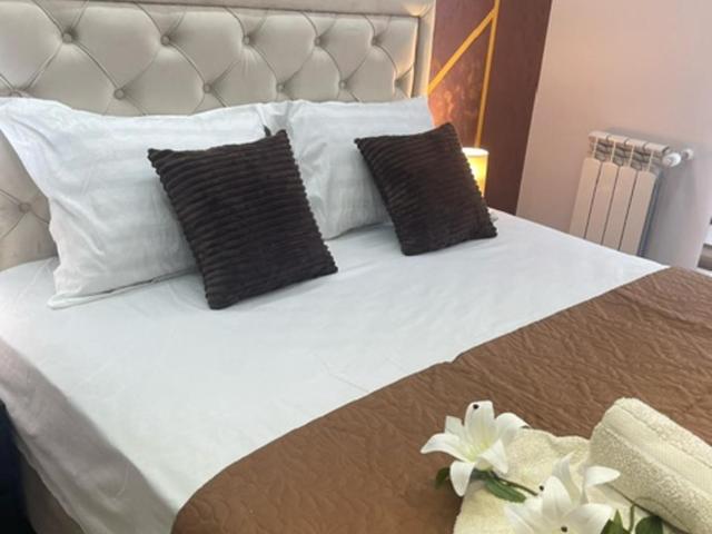 Imperial Lux Apartment - One-Bedroom Apartment - 54