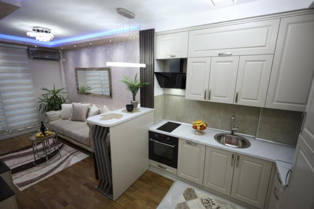 Imperial Lux Apartment - One-Bedroom Apartment - 57