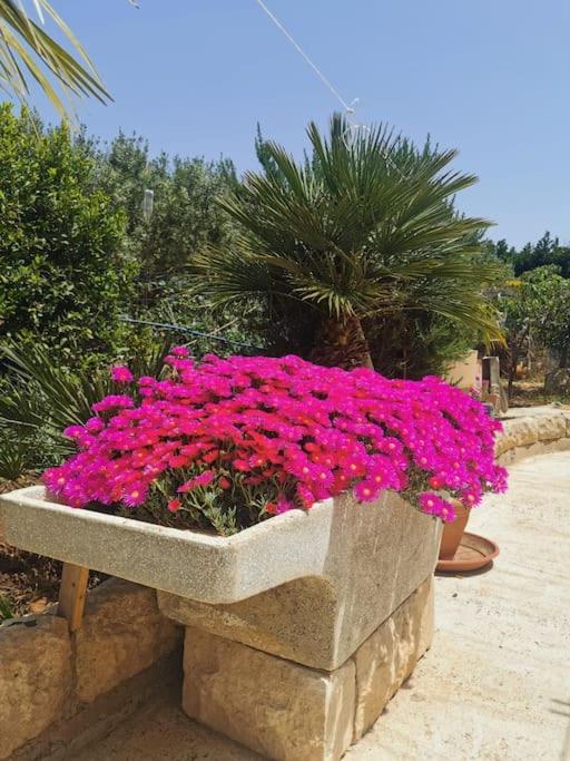 Sabbinirica Vacation House - Haus mit 3 Schlafzimmern - 11