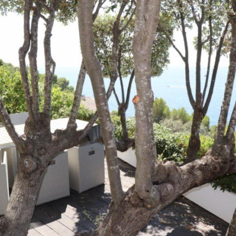 Belle villa à Cavalaire-sur-Mer avec piscine et vue mer - FR-1-100-228 - Villa - 2