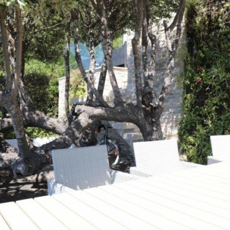 Belle villa à Cavalaire-sur-Mer avec piscine et vue mer - FR-1-100-228 - Villa - 26