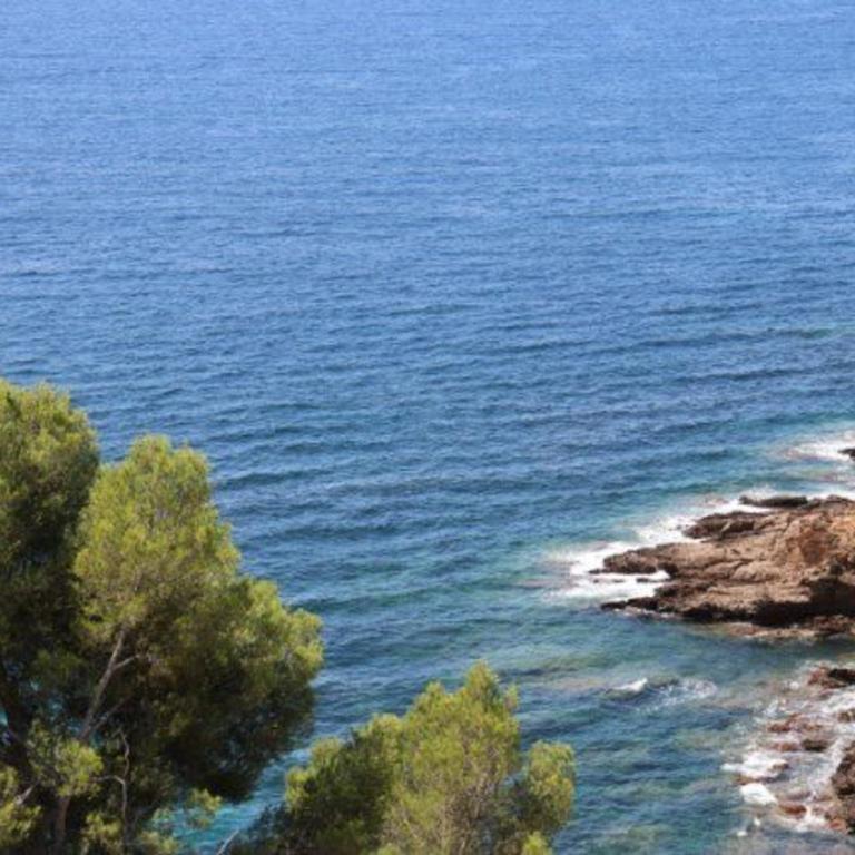Belle villa à Cavalaire-sur-Mer avec piscine et vue mer - FR-1-100-228 - Villa - 28