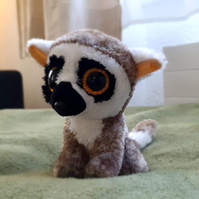 Chalet Schneevogul - Appartamento con 2 Camere da Letto - 12