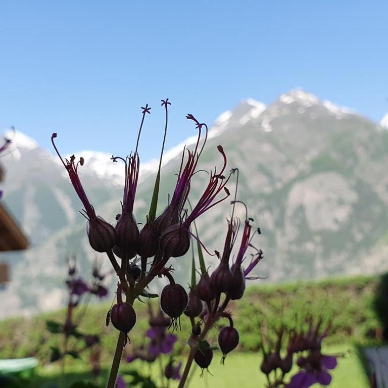 Chalet Schneevogul - Appartamento con 2 Camere da Letto - 22
