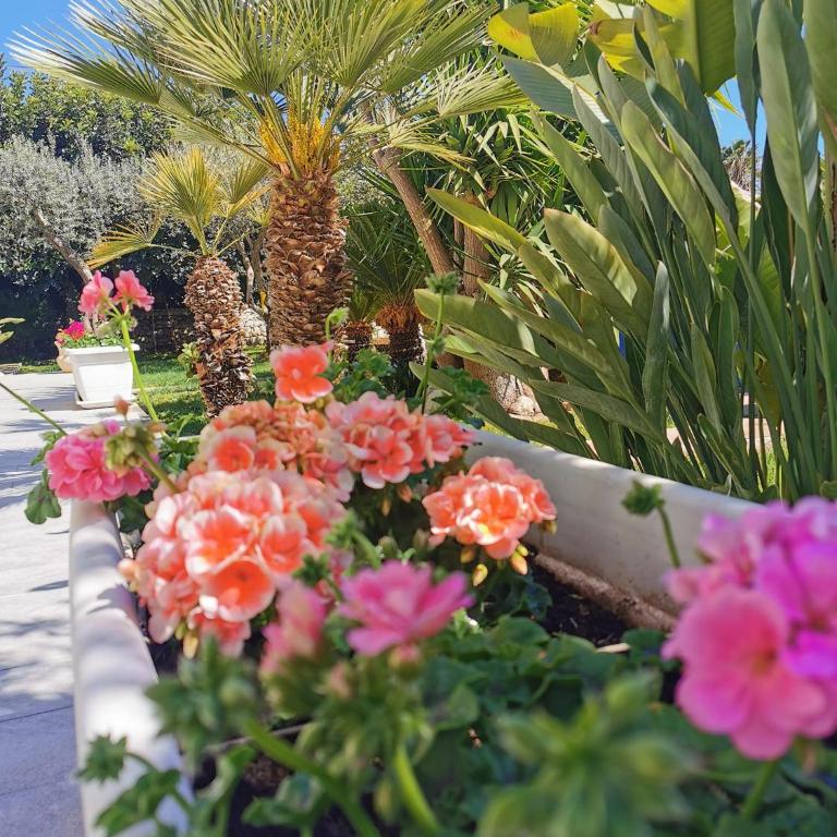 Sabbinirica Vacation House - Haus mit 3 Schlafzimmern - 9