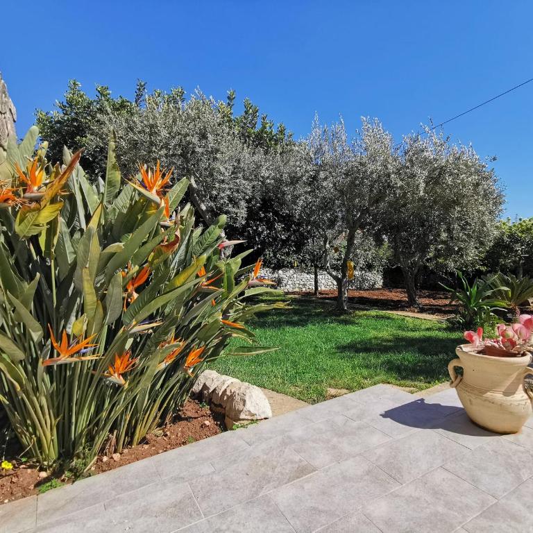 Sabbinirica Vacation House - Haus mit 3 Schlafzimmern - 8
