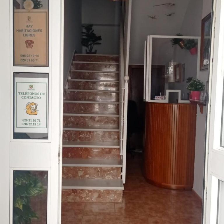 Hostal Buena Vista - Habitación Individual - 2