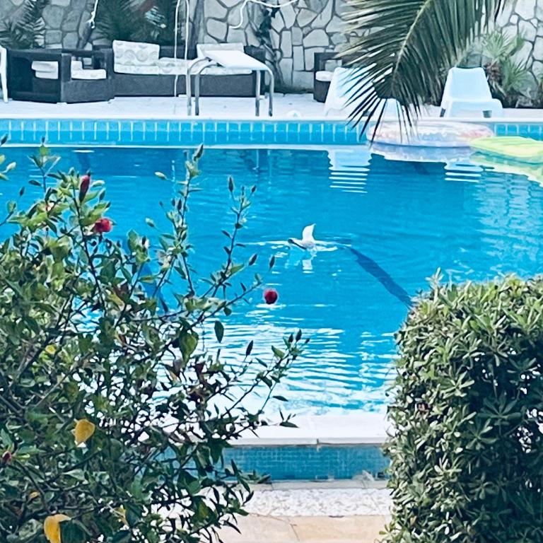 Villa lo Iacono - Villa con piscina privada - 2