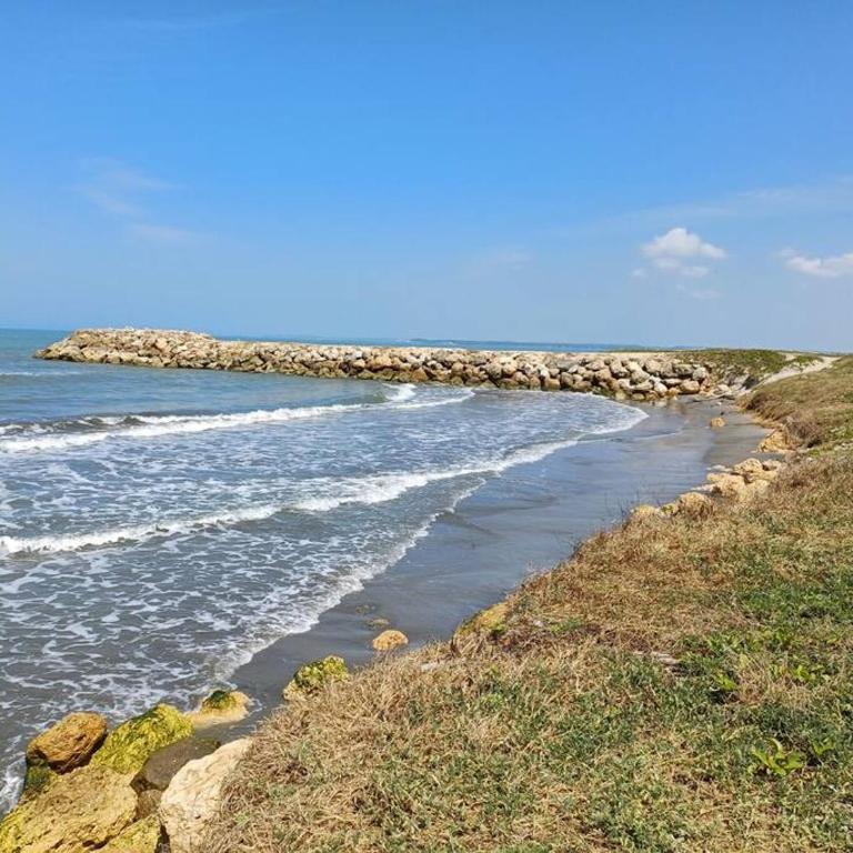 New Apartment very close to Airport and beaches - One-Bedroom Apartment - 24