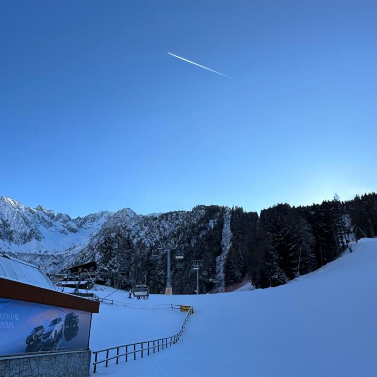 Tonale Ski-in AlpView Studio - Appartamento con Vista Montagna - 33