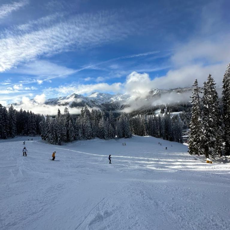 Tonale Ski-in AlpView Studio - Appartamento con Vista Montagna - 30