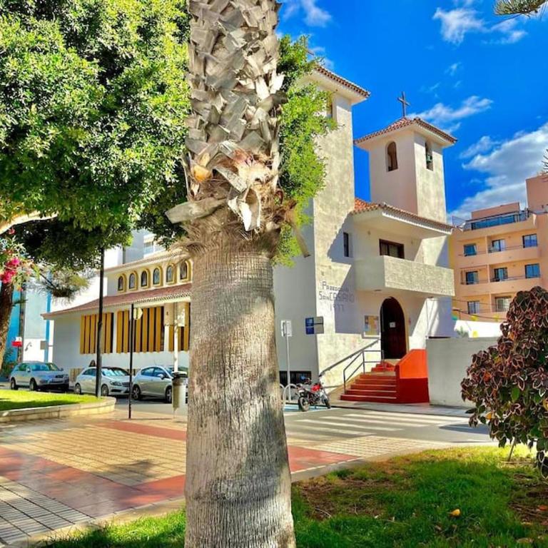 El Anclaje de las Galletas - Apartamento de 1 dormitorio - 21