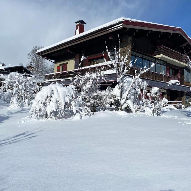 Appartement 71m2 près de Megève, à 200m télécabine la Princesse, local à ski, 2 chambres, parking couvert - Appartement 2 Chambres avec Balcon et Terrasse - 40