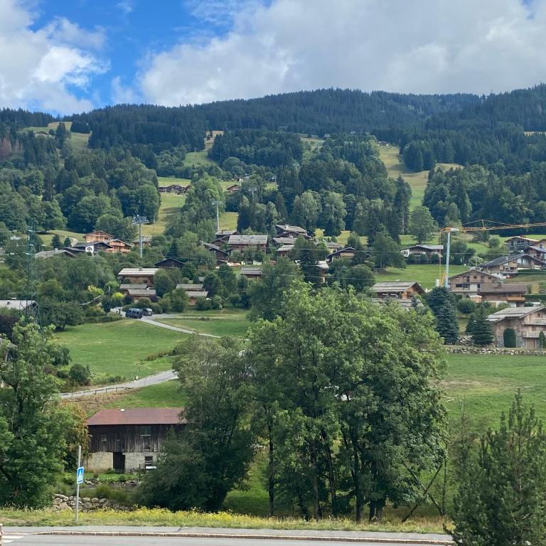 Appartement 71m2 près de Megève, à 200m télécabine la Princesse, local à ski, 2 chambres, parking couvert - Appartement 2 Chambres avec Balcon et Terrasse - 45