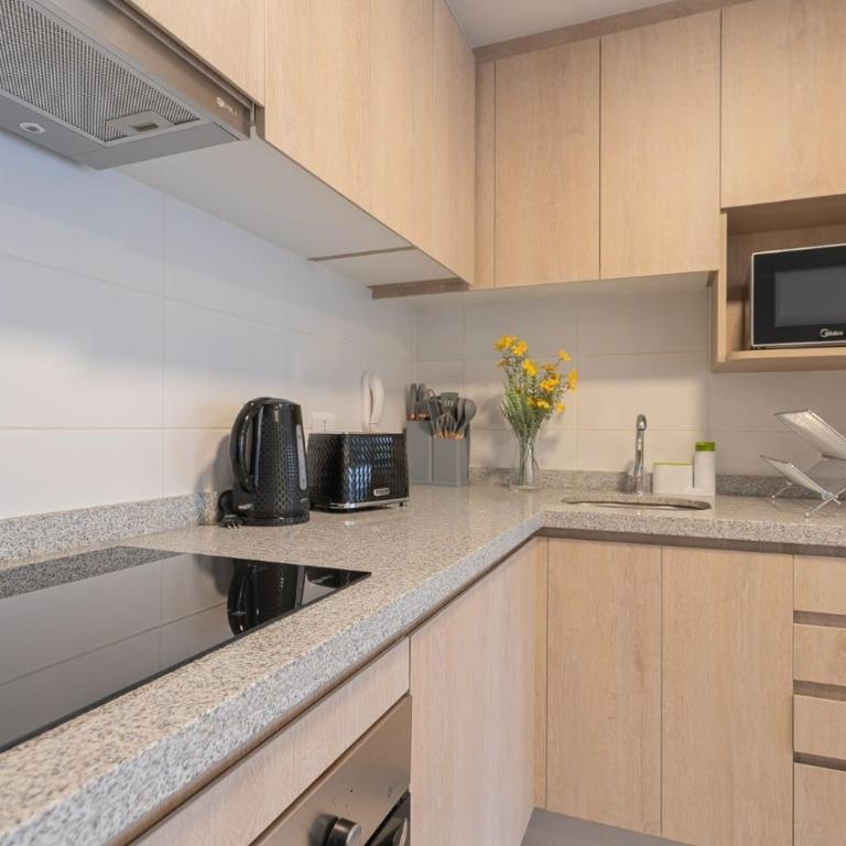 Un oasis en el centro de Santiago - Apartamento - 4