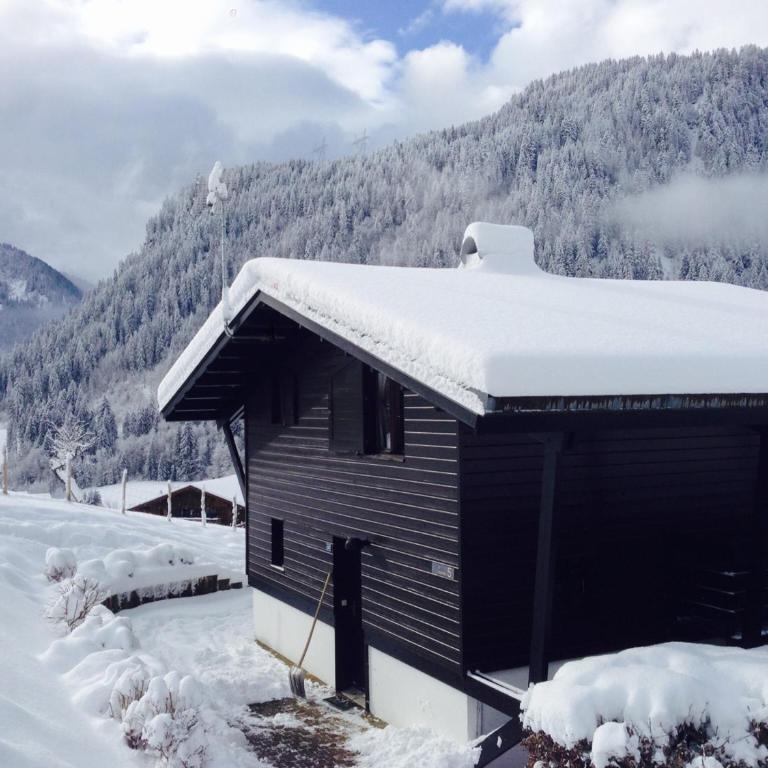 Chalet 6 pers à Châtel, proche centre et remontées, terrasse et équipements modernes - FR-1-676-135 - Chalet - 1