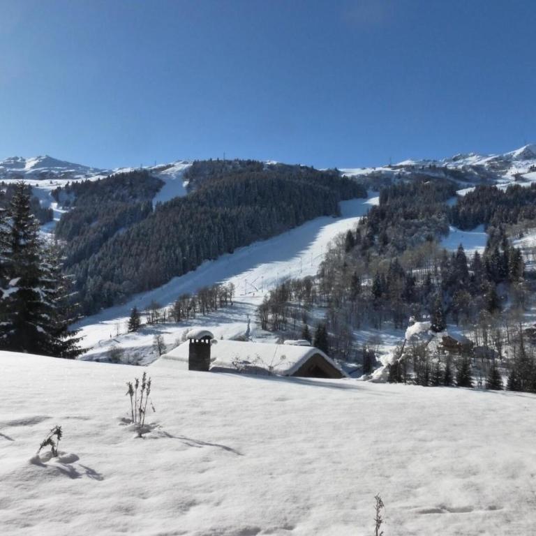 Résidence Le Vallon - Appartement 2 pièces pour 4-5 personnes situé à Méribel centre proche des commerces et des pistes de ski MAE-1766 - Appartement - 3