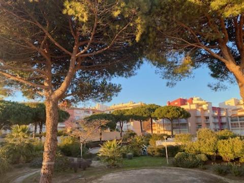Studio 2 pers, Résidence Le Pharo, Piscine, Clim - Apartment mit 1 Schlafzimmer - 8